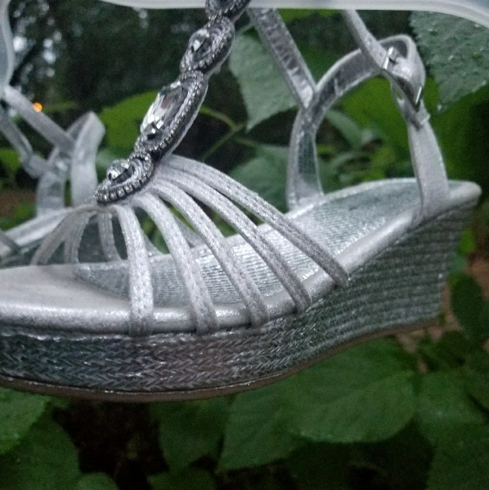 Hotcakes Silver Wedges